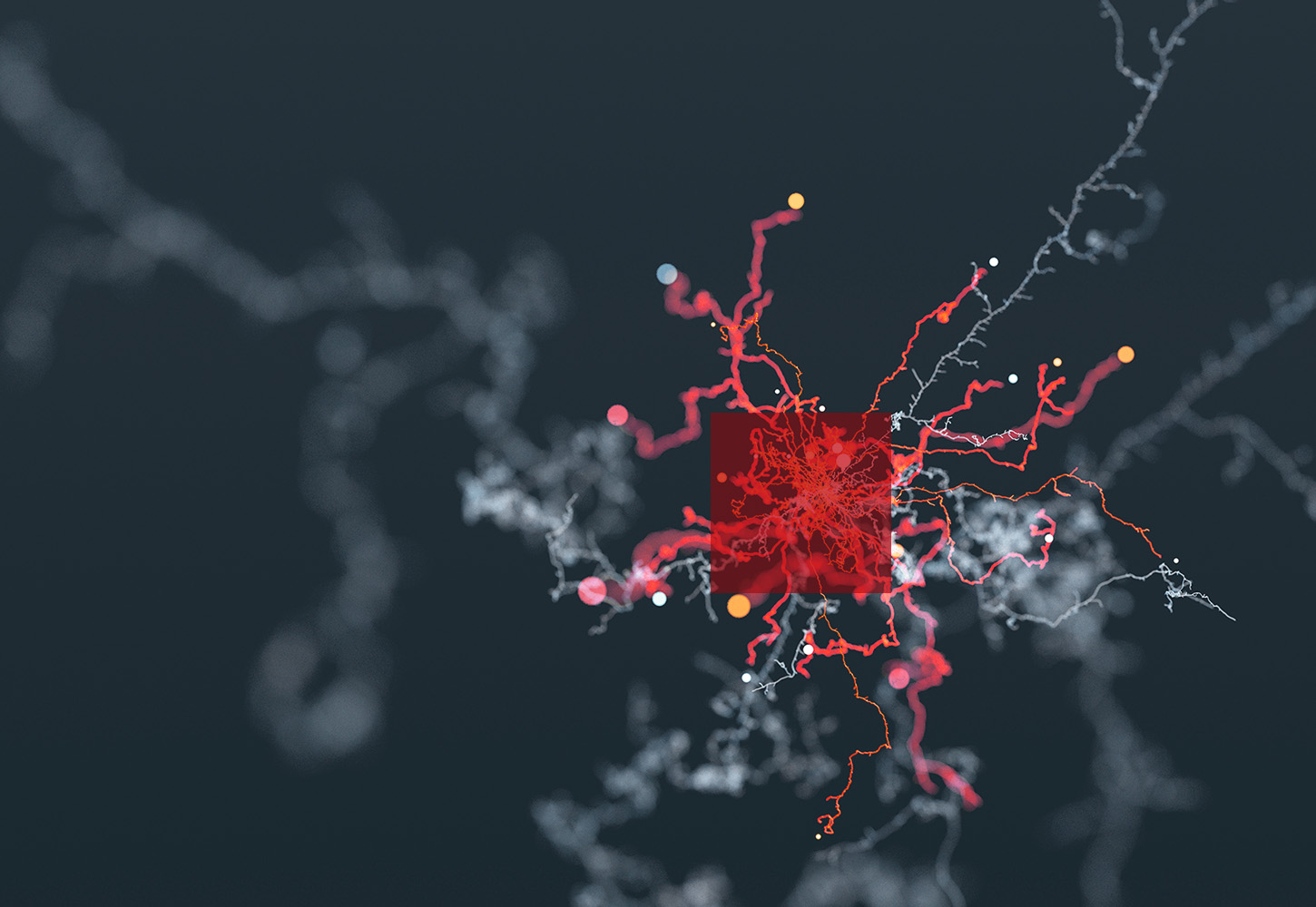 Darstellung abstrakter neuronaler Netze